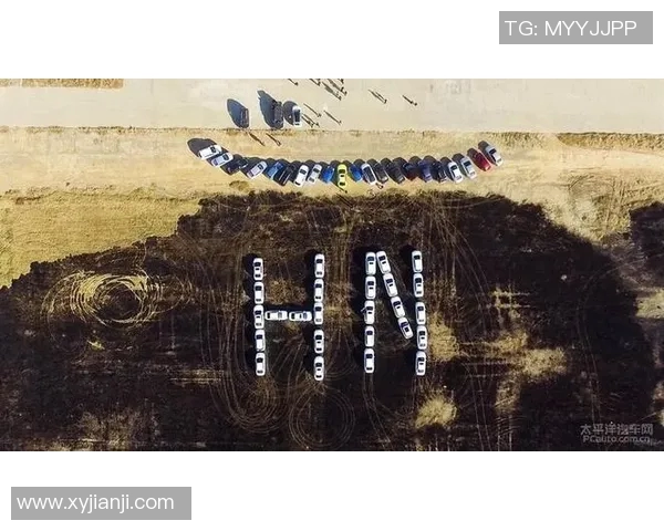 重庆足球队的节奏探秘：从历史到未来的全景分析与展望