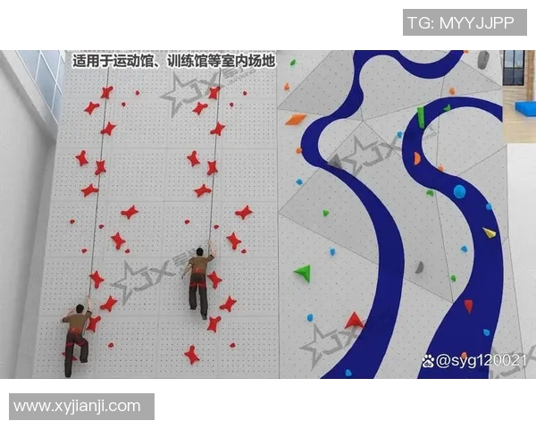 南京攀岩队个人能力探秘：挑战极限与自我提升之路