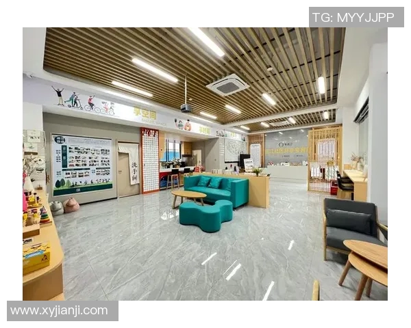 北京乒乓球队区域防守创新策略解析与实践成效探讨