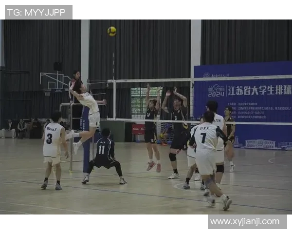 南京排球队逆袭之路揭秘洲际杯背后的奋斗与荣耀