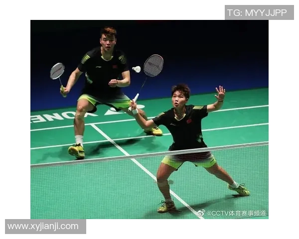 南京羽毛球队在总决赛中的强势表现与未来发展潜力分析